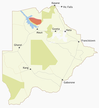 Moremi Region
